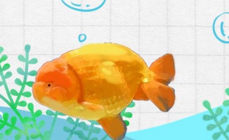蘭壽金魚用加熱棒嗎？（蘭壽金魚溫度加熱好還是不好）