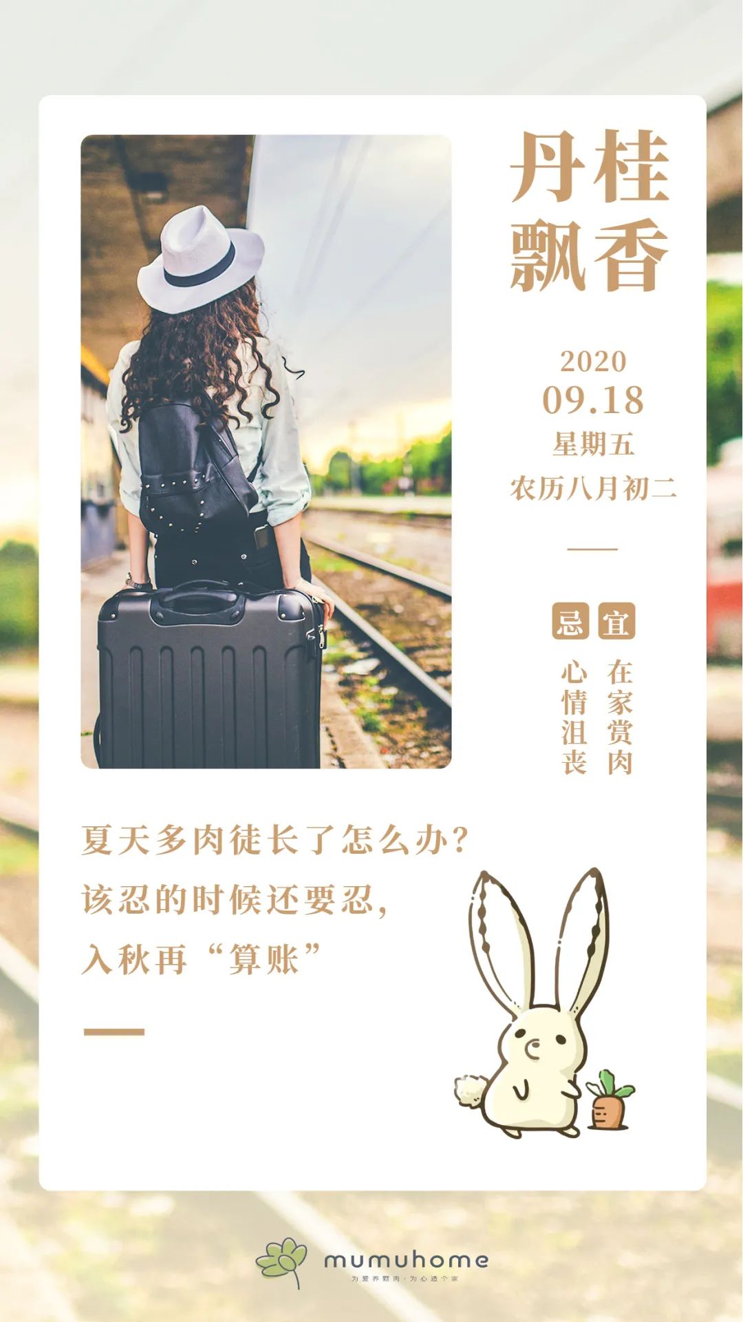夏天多肉徒長(zhǎng)不可怕，初秋及時(shí)“拯救”，深